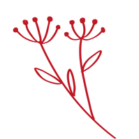 fleurs-site_Plan de travail 1.png